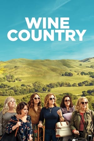 Wine Country (2019) Hindi Dual Audio 350MB HD Poster Download - Filmyzilla