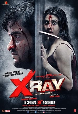 X Ray The Inner Image 2019 Hindi Movie [900MB] HD Poster Download - Filmyzilla