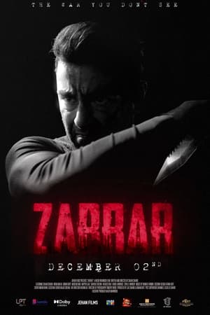 Zarrar (2022) Urdu Movie Pre- – HD Poster Download - Filmyzilla