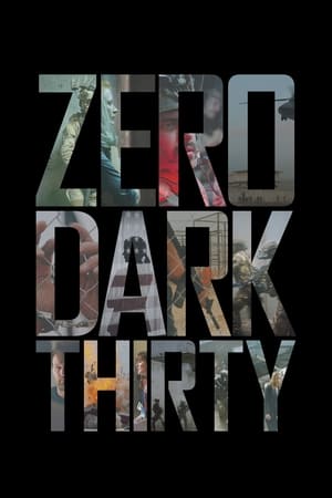 Zero Dark Thirty 2012 Hindi Dual Audio [1.2GB] HD Poster Download - Filmyzilla