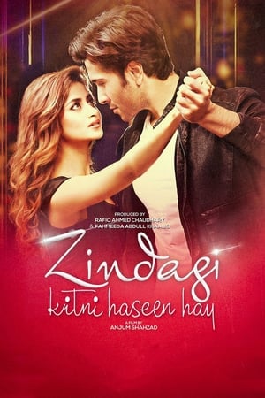 Zindagi Kitni Haseen Hay (2016) Pakistani Movie Download HD Poster Download - Filmyzilla